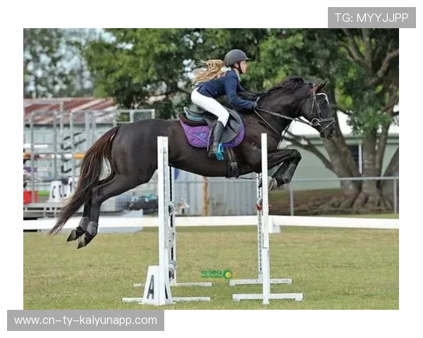 荷兰马术协会与澳大利亚马术协会签署人才交流协议,促进双向发展。 荷兰马术协会与澳大利亚马术协会签署人才交流协议,促进双向发展。