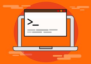 开云官方网-青少年比赛引入技术监测系统保障公平，2020年青少年比赛