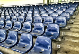 开云体育登录-竞彩市场火热，足球预测分析工具受追捧，竞彩足球预测推荐